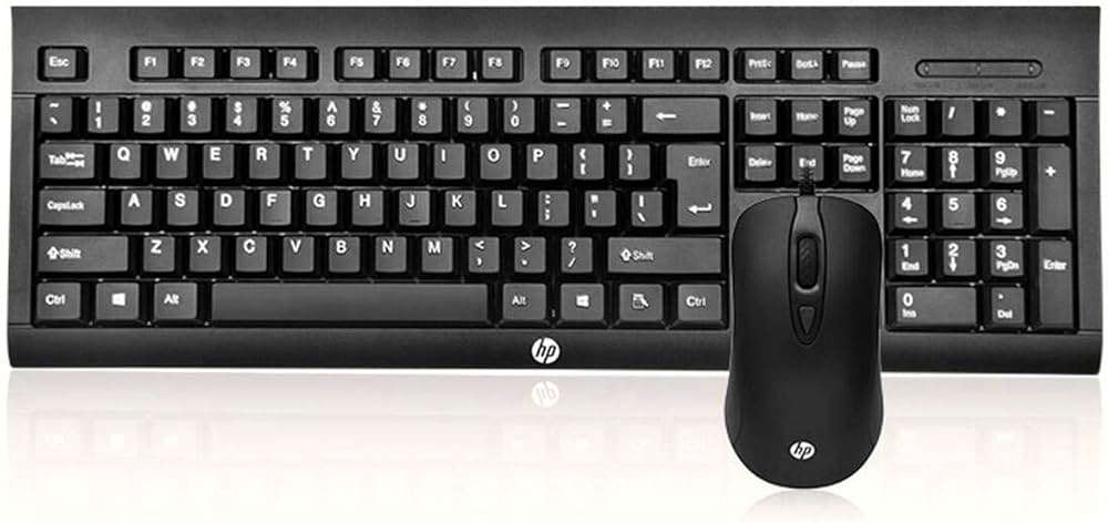 HP keyboard and mouse KM100